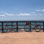 Vintage Style Bike Rental in Malaga - Authentic Feedback from Past Riders