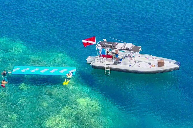 VIP Aloha Nui Snorkel Adventure w/ optional SCUBA from Lahaina - What Makes the Snorkel Experience Stand Out