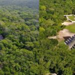 VIP Chichen Itza & Coba Private Tour - What the Reviews Say