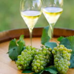 VIP Experience to Lake Iseo and Franciacorta Wine Tasting - Diving into Franciacorta’s Sparkling Wines