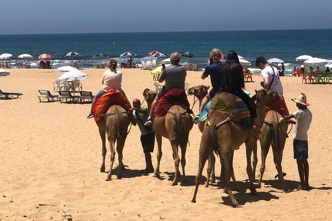 Vip Full Day Private Tangier Tour From Malaga All Inclusive - Practical Details and What to Expect