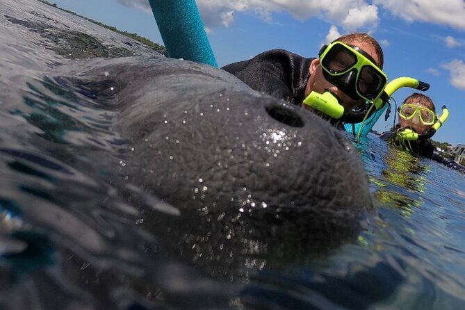 VIP Private Boat Manatee Snorkel Tour with In-Water Guide and Photograper - Key Points