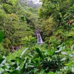 VIP Private Full-Day Road to Hana Tour from Wailea - Kihei - Why Travelers Love This Tour