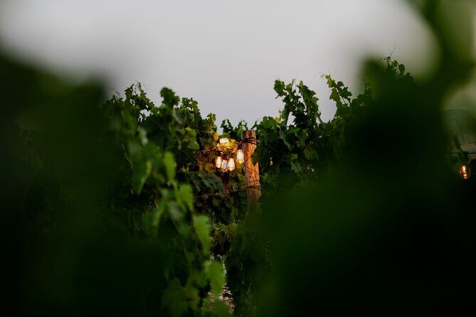 VIP Private Split/Trogir: Chef-Prepared Meal With Wine, Sea View - What to Expect from the Tour