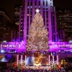 VIP Rock Pass: Includes Skylift, Beam, Rooftop Garden - What Travelers Are Saying