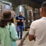 VIP Tasting - Who Should Consider This Tour?