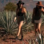 VIP Tequila Night Tour with Dinner and Tasting - Is It Worth the Price?