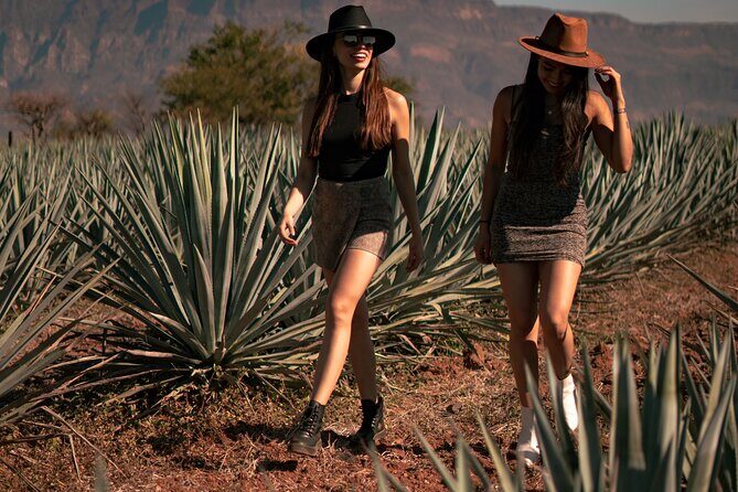 VIP Tequila Night Tour with Dinner and Tasting - Is It Worth the Price?