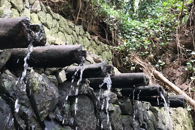 VIP tour of La Gomera from Tenerife - What Makes This Tour Stand Out?