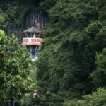 Vip Tour Phong Nha: Paradise Cave & Dark Cave Private Tour - Paradise Cave: Asia’s Longest Dry Cave