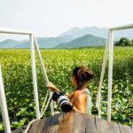 Virpazar: Guided Lake Skadar Cruise and Crnojevia River - The Itinerary Breakdown