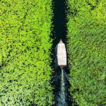 Virpazar: Lake Skadar Private Wildlife Cruise & Wine Tasting - Who Should Book This Tour?