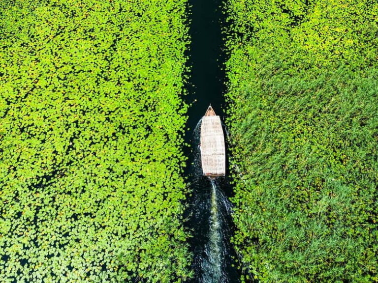 Virpazar: Lake Skadar Private Wildlife Cruise & Wine Tasting - Who Should Book This Tour?