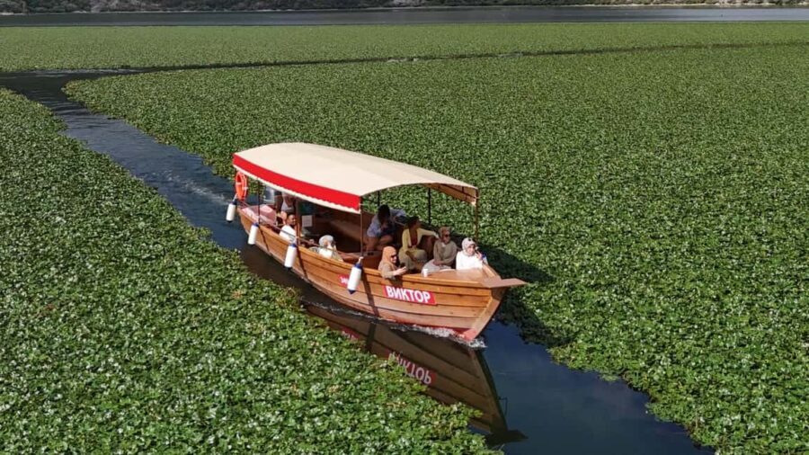 VirpazarSkadar Lake: 2h cruise on a traditional wooden boat - Who Should Consider This Tour