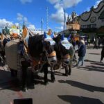 Virtual Tour 360 Video Octoberfest Munich with Wolfgang - The Pros and Cons: Is It Worth It?