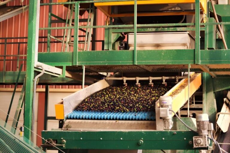 Visit an almazara + extra virgin olive oil tasting: Baeza - The Experience Itself: A Closer Look