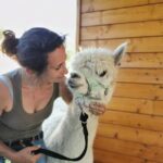Visit an alpaca farm and create a small wool object near Lyon - The overall experience and atmosphere