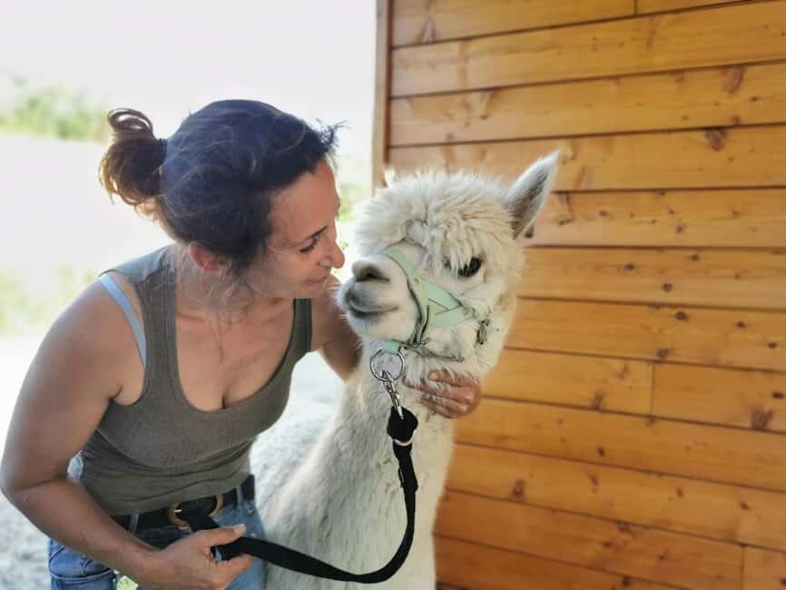 Visit an alpaca farm and create a small wool object near Lyon - The overall experience and atmosphere