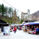 Visit Bear Sanctuary and Bran Castle from Brasov - Practical Tips for Making the Most of the Tour