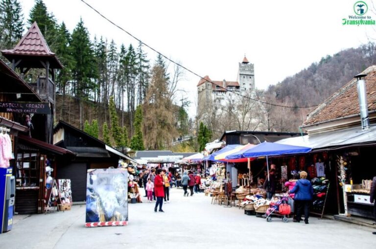 Visit Bear Sanctuary and Bran Castle from Brasov - Practical Tips for Making the Most of the Tour
