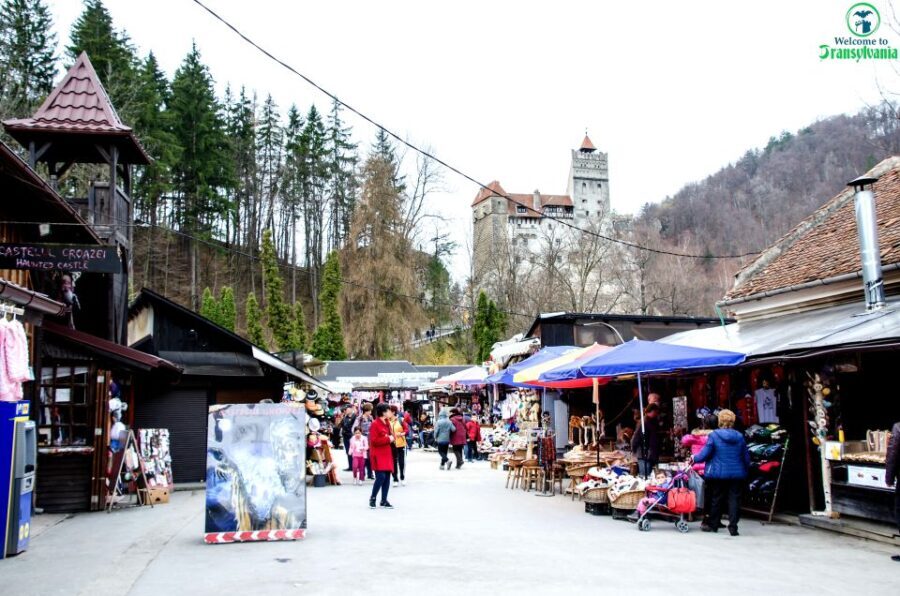 Visit Bear Sanctuary and Bran Castle from Brasov - Practical Tips for Making the Most of the Tour