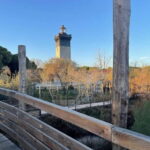 Visit Camargue and Espiguette Lighthouse from Montpellier - What Travelers Say