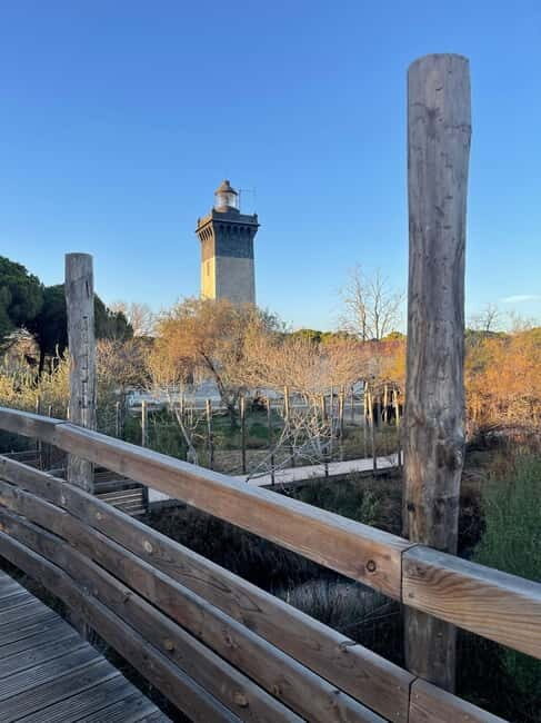 Visit Camargue and Espiguette Lighthouse from Montpellier - What Travelers Say