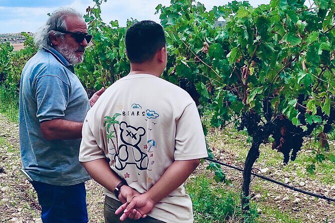 Visit Cuenca and a Vineyard in Spanish Tuscany from Madrid - Practical Details and Considerations