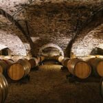 Visit : From Château des Thorins to Château du Moulin-à-Vent - The Logistics and Practicalities