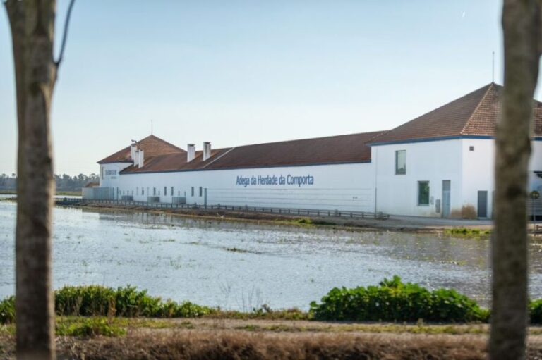 Visit Herdade da Comporta Winery - What’s Included and What to Expect