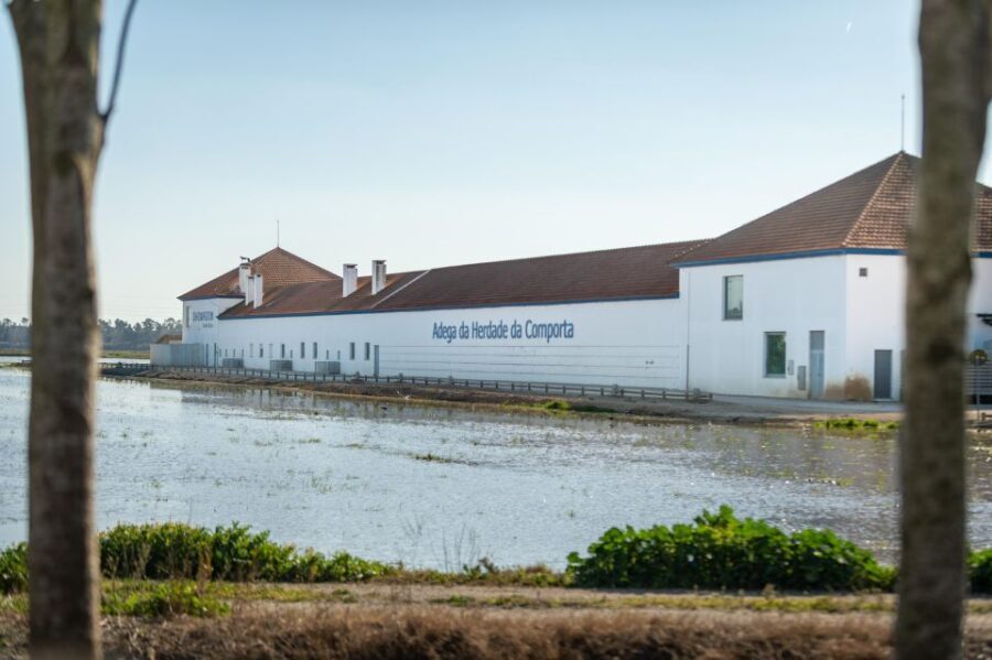 Visit Herdade da Comporta Winery - What’s Included and What to Expect