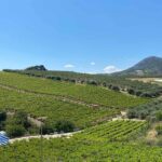 Visit Knossos and the Valley of Zeus - Breaking Down the Itinerary