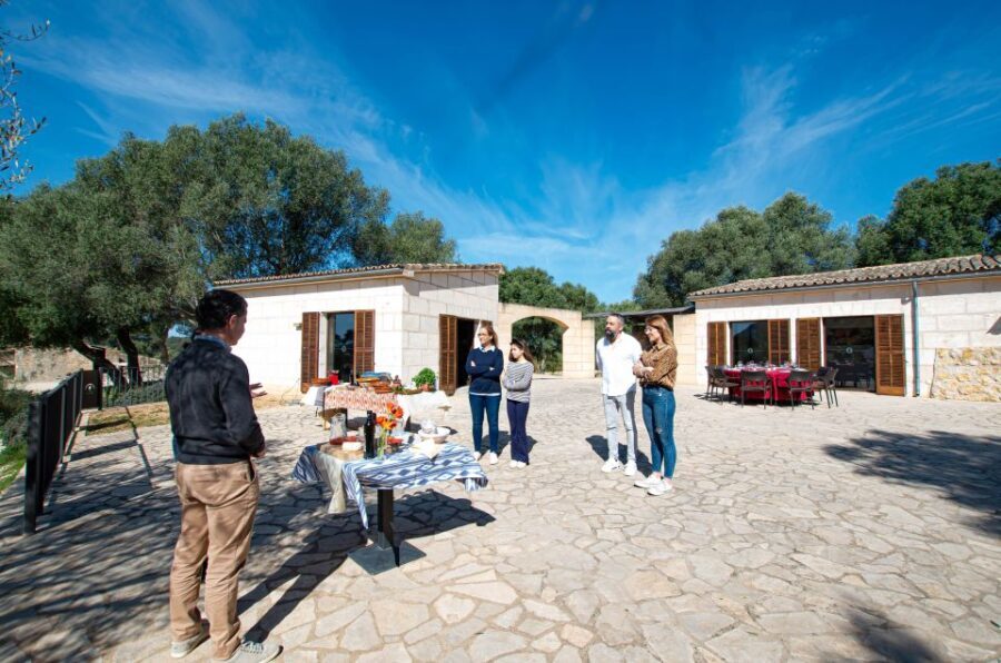 Visit of the olive grove, olive oil tasting and snack - What Travelers Are Saying