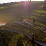 Visit Qt Sobre a Fonte with wine tasting and picnic - pet friendly - Practical Details & Tips