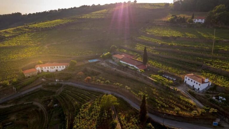 Visit Qt Sobre a Fonte with wine tasting and picnic - pet friendly - Practical Details & Tips