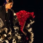 Visit Santa Barbara Castle in Alicante and Flamenco Show, Private Van - What Makes This Tour Stand Out