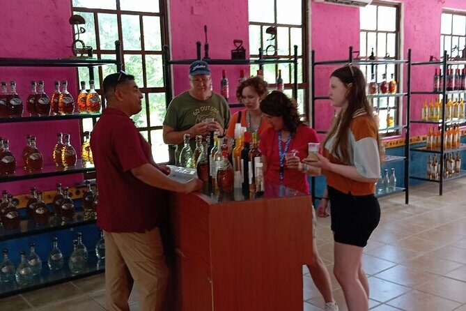 Visit the ancient Mayan ruins and the best beaches in Cozumel - The Practical Side: Transport, Duration, and Cost