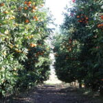 Visit the city of Konispol - The Itinerary Breakdown