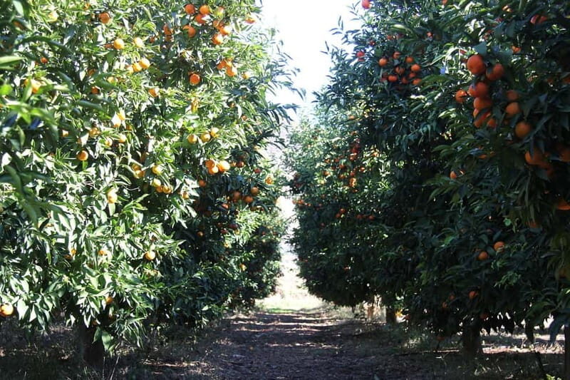 Visit the city of Konispol - The Itinerary Breakdown