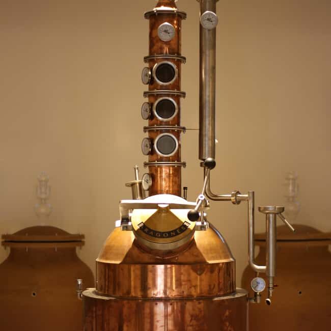 Visit the distillery of Ischia island - The Reviews: What Visitors Loved