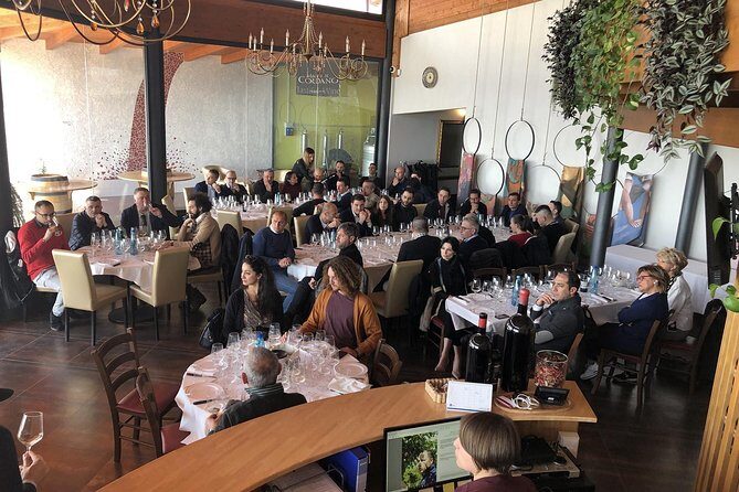 Visit the Marchesi de Cordano winery and taste its wines - The Price and Value