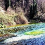 Visit The National Park of Blue Eye and The Fortress of Lekuresi - Transportation and Group Size: Making It Easy