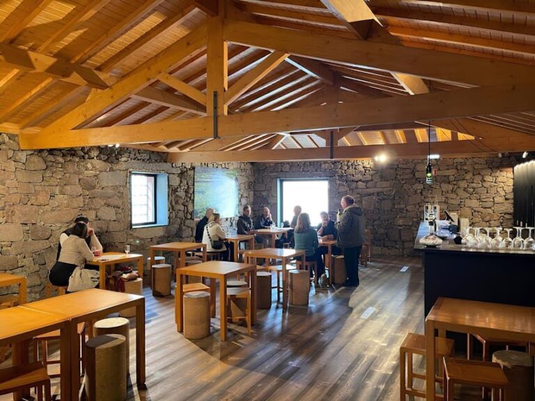 Visit to a Port Wine Cellar - Comparing Similar Experiences