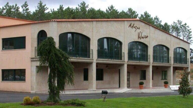 Visit to the Adegas Valmiñor winery and tasting - Who Should Consider This Tour?