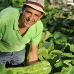 Visit to the Emerald Grotto with picnic in an olive grove. - Key Points