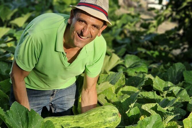 Visit to the Emerald Grotto with picnic in an olive grove. - Key Points