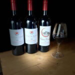 Visit to the property and wine/cheese pairing workshop - Who Is This Tour Best Suited For?