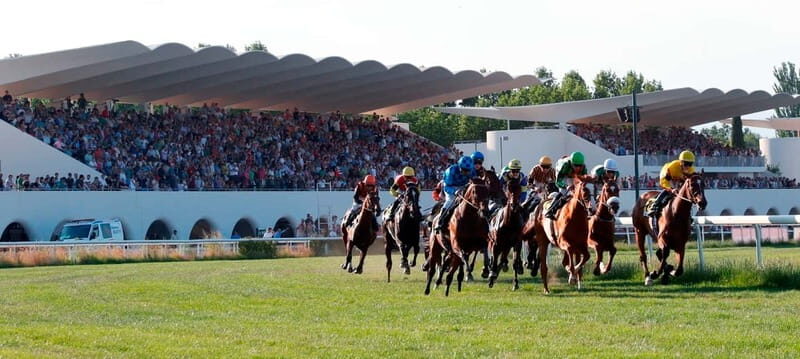 Visita guiada a las Carreras/Hipódromo de la Zarzuela-Madrid - What Makes This Tour Special?