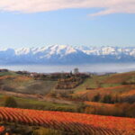 Visita guidata e Degustazione vini Monforte d'Alba - What You Can Expect from the Tour