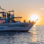 Visite en bateau avec final au COUCHER DE SOLEIL+vin Corse - The Experience of Swimming and Nature